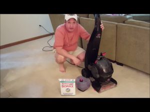 Can I Use Borax in My Bissell Carpet Cleaner