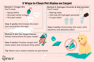 Can You Clean Carpet Stains With White Vinegar