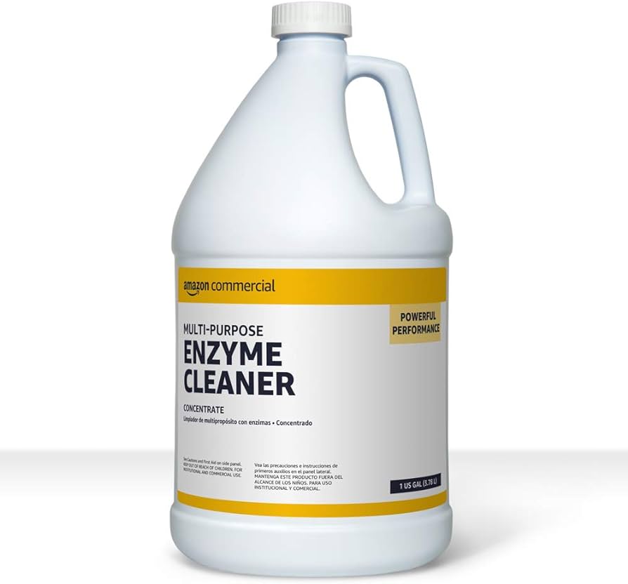 Can You Use Enzyme Cleaner on Walls