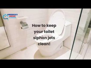 How to Clean Siphon Jet Toilet