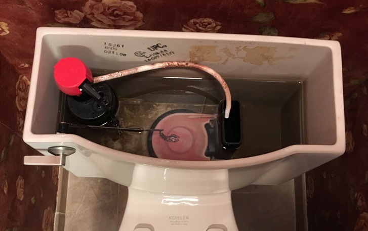 How to Get Mold Out of Toilet Tank