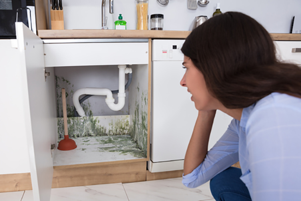 How to Get Rid of Mould in Kitchen Cupboards