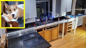 How to Remove Base Cabinets Without Removing Countertop