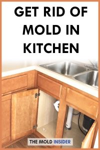 How to Remove Mold from Kitchen Cabinets