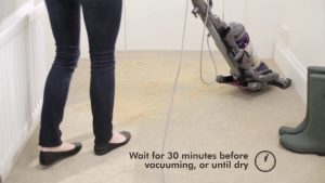 How to Use Zorb Carpet Cleaner