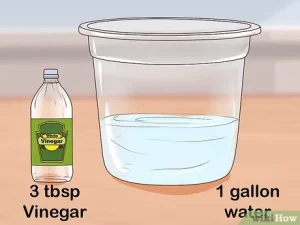 Is Vinegar Good for Cleaning Walls