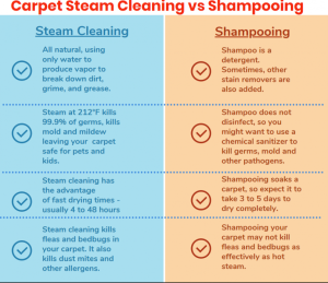 What is the Difference between Steam Cleaning And Deep Cleaning Carpet