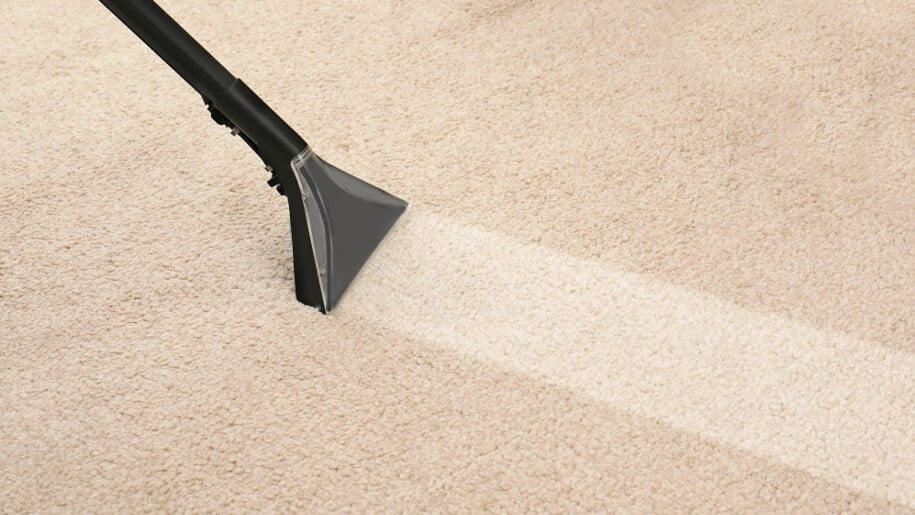 How Long Does Carpet Cleaning Take