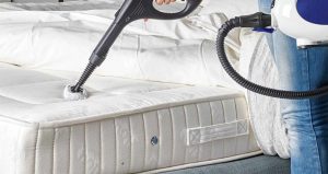 Does Steam Cleaning Get Rid of Bed Bugs