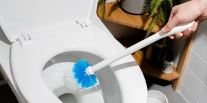 How to Use Toilet Bowl Cleaner