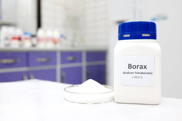 Is Borax Powder Toxic to Cats