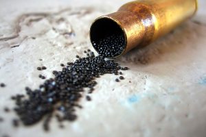 Is Gun Powder Toxic